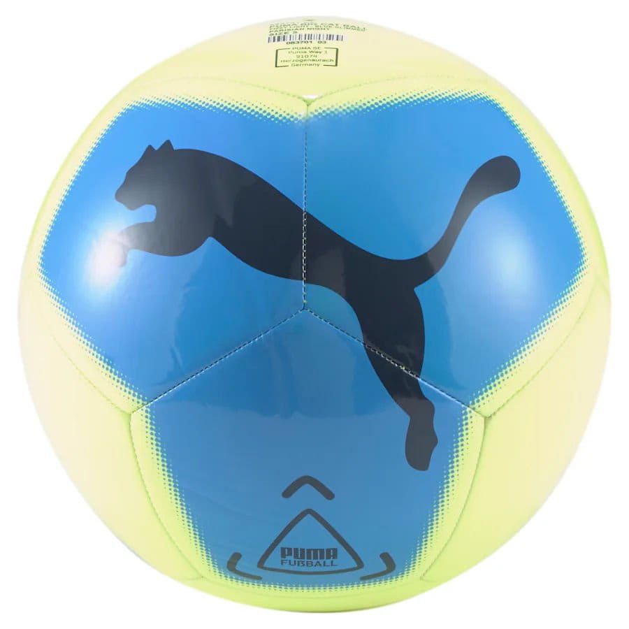 Tréninkový míč Puma Big Cat